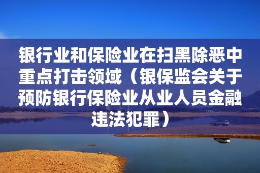 银行业和保险业在扫黑除恶中重点打击领域（银保监会关于预防银行保险业从业人员金融违法犯罪）