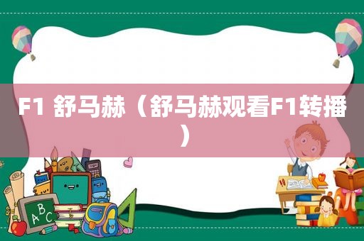 F1 舒马赫（舒马赫观看F1转播）