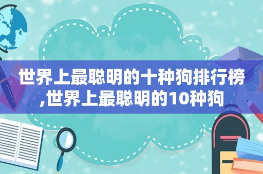 世界上最聪明的十种狗排行榜,世界上最聪明的10种狗