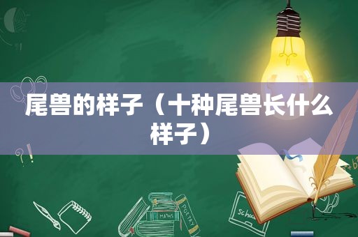 尾兽的样子（十种尾兽长什么样子）