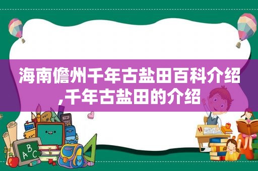 海南儋州千年古盐田百科介绍,千年古盐田的介绍