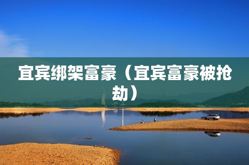 宜宾绑架富豪（宜宾富豪被抢劫）