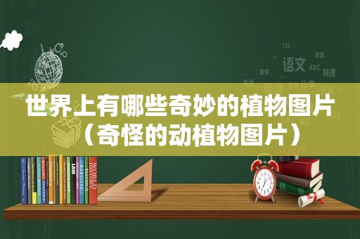 世界上有哪些奇妙的植物图片（奇怪的动植物图片）