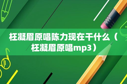 枉凝眉原唱陈力现在干什么（枉凝眉原唱mp3）