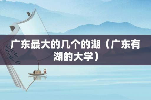广东最大的几个的湖（广东有湖的大学）