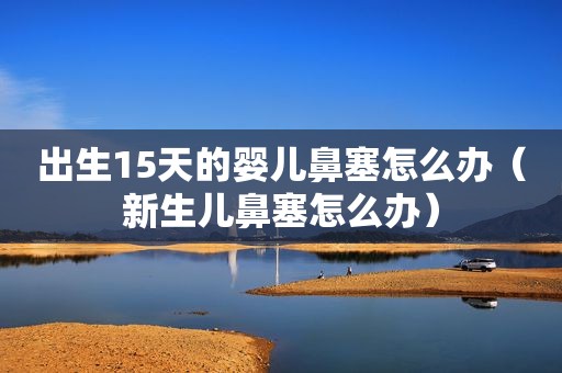 出生15天的婴儿鼻塞怎么办（新生儿鼻塞怎么办）