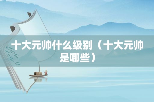 十大元帅什么级别（十大元帅是哪些）