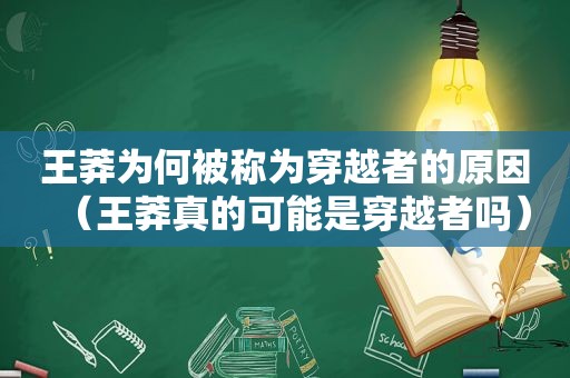 王莽为何被称为穿越者的原因（王莽真的可能是穿越者吗）