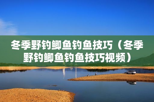 冬季野钓鲫鱼钓鱼技巧（冬季野钓鲫鱼钓鱼技巧视频）
