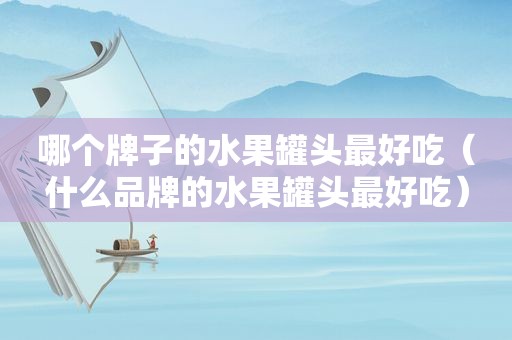 哪个牌子的水果罐头最好吃（什么品牌的水果罐头最好吃）