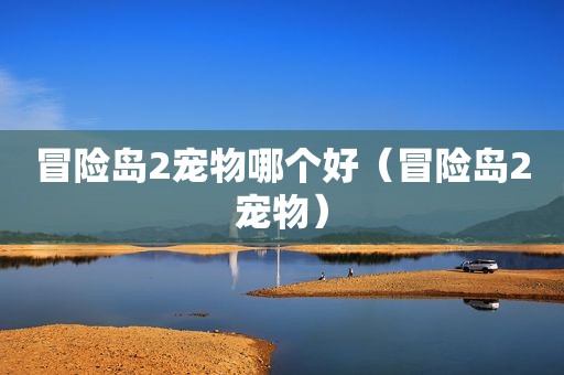 冒险岛2宠物哪个好（冒险岛2宠物）