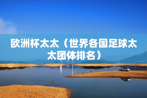 欧洲杯太太（世界各国足球太太团体排名）