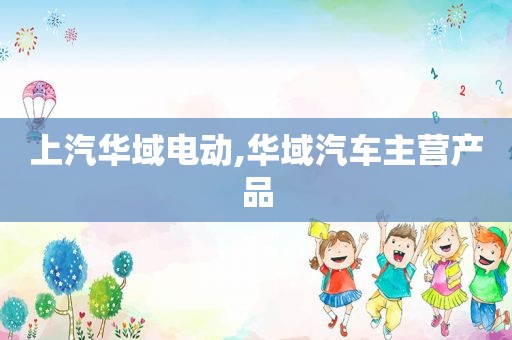 上汽华域电动,华域汽车主营产品