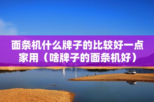 面条机什么牌子的比较好一点家用（啥牌子的面条机好）