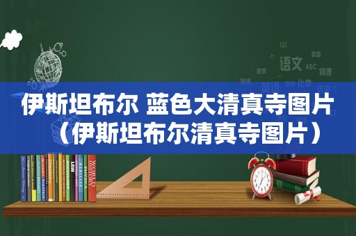 伊斯坦布尔 蓝色大 *** 寺图片（伊斯坦布尔 *** 寺图片）