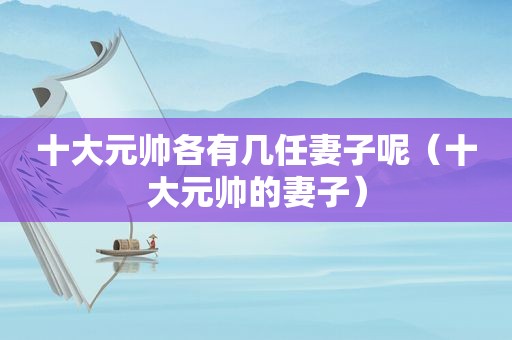 十大元帅各有几任妻子呢（十大元帅的妻子）