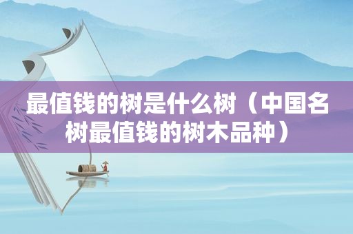 最值钱的树是什么树（中国名树最值钱的树木品种）