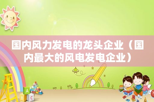 国内风力发电的龙头企业（国内最大的风电发电企业）