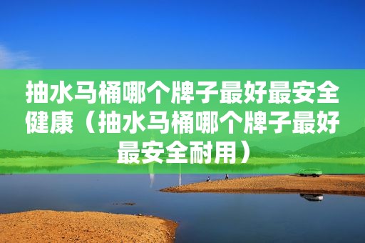 抽水马桶哪个牌子最好最安全健康（抽水马桶哪个牌子最好最安全耐用）