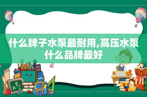 什么牌子水泵最耐用,高压水泵什么品牌最好