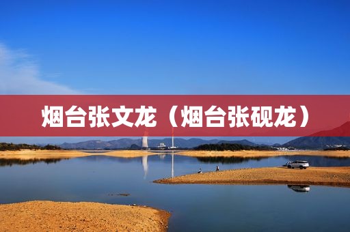 烟台张文龙（烟台张砚龙）