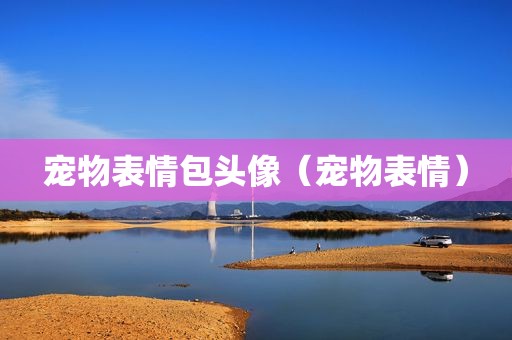 宠物表情包头像（宠物表情）