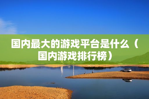 国内最大的游戏平台是什么（国内游戏排行榜）
