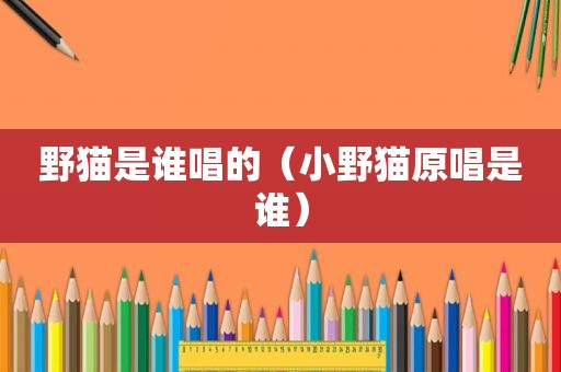 野猫是谁唱的（小野猫原唱是谁）
