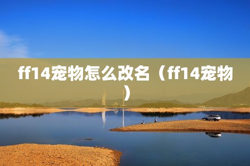 ff14宠物怎么改名（ff14宠物）