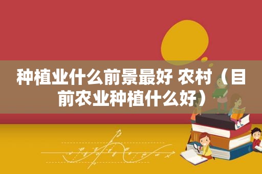 种植业什么前景最好 农村（目前农业种植什么好）