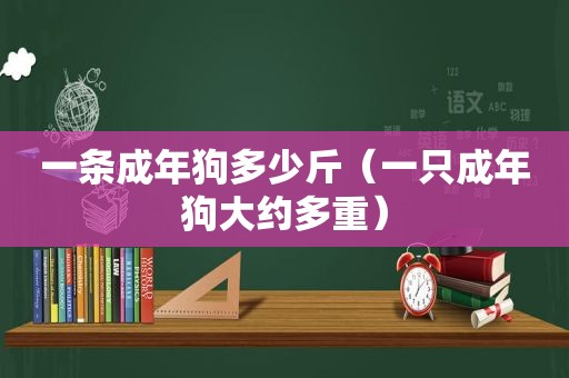 一条成年狗多少斤（一只成年狗大约多重）