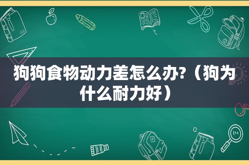 狗狗食物动力差怎么办?（狗为什么耐力好）