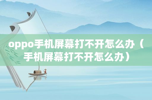 oppo手机屏幕打不开怎么办（手机屏幕打不开怎么办）