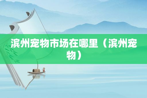 滨州宠物市场在哪里（滨州宠物）