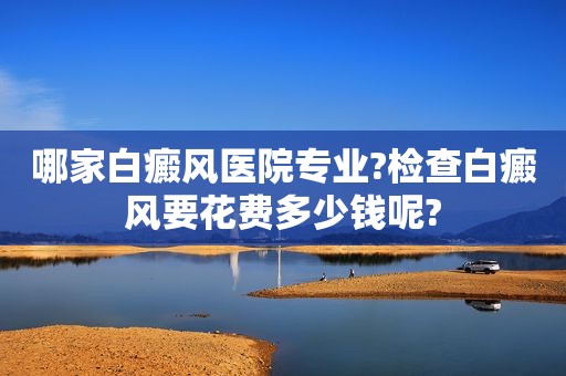哪家白癜风医院专业?检查白癜风要花费多少钱呢?