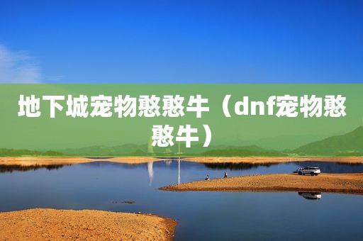 地下城宠物憨憨牛（dnf宠物憨憨牛）