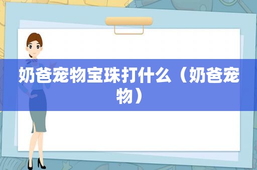 奶爸宠物宝珠打什么（奶爸宠物）