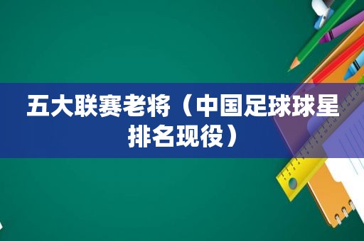 五大联赛老将（中国足球球星排名现役）