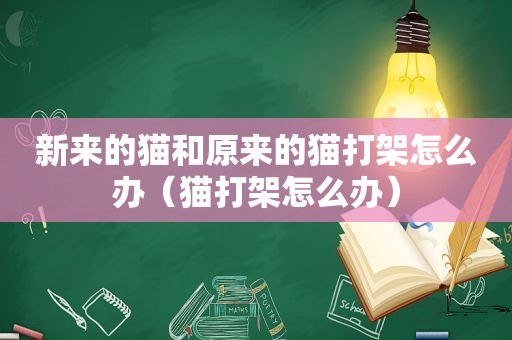 新来的猫和原来的猫打架怎么办（猫打架怎么办）