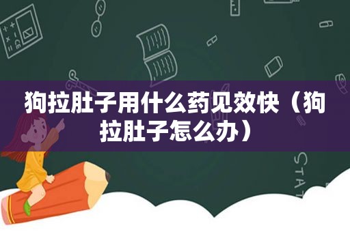 狗拉肚子用什么药见效快（狗拉肚子怎么办）
