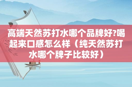 高端天然苏打水哪个品牌好?喝起来口感怎么样（纯天然苏打水哪个牌子比较好）