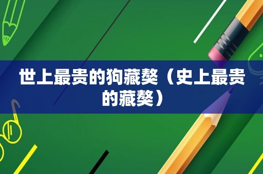 世上最贵的狗藏獒（史上最贵的藏獒）