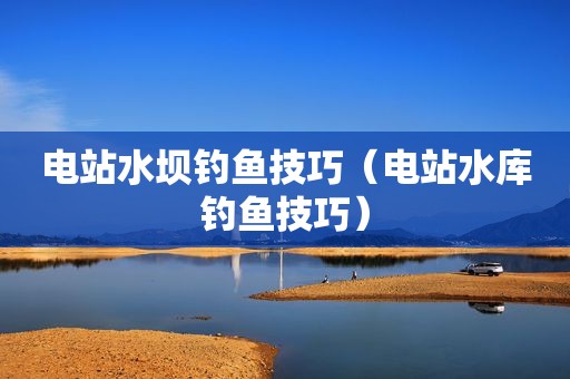 电站水坝钓鱼技巧（电站水库钓鱼技巧）