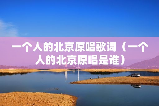 一个人的北京原唱歌词（一个人的北京原唱是谁）