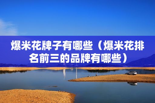 爆米花牌子有哪些（爆米花排名前三的品牌有哪些）