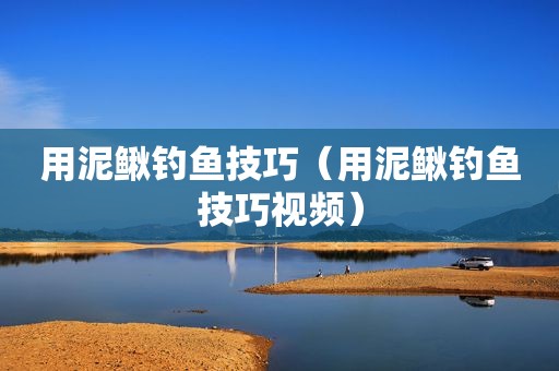 用泥鳅钓鱼技巧（用泥鳅钓鱼技巧视频）