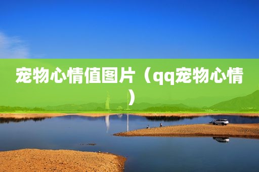 宠物心情值图片（qq宠物心情）