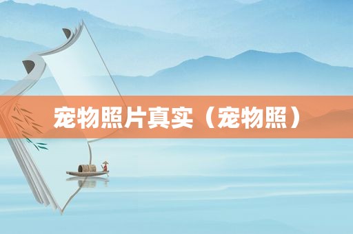 宠物照片真实（宠物照）