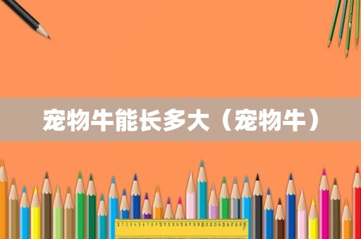 宠物牛能长多大（宠物牛）