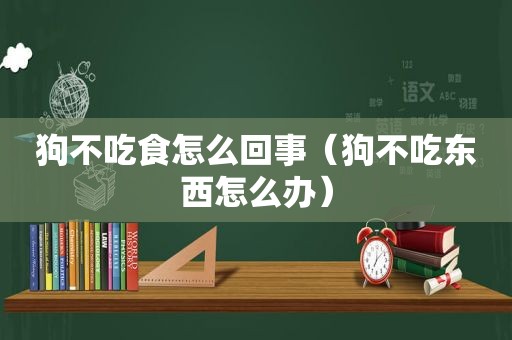 狗不吃食怎么回事（狗不吃东西怎么办）